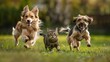 cute dogs and one cat running on the grass smiling happily. The background is a blurred green lawn Generative AI