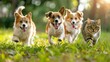 Three cute dogs and one cat running happily on the lawn Generative AI