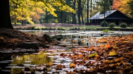 Wall Mural - Fallen leaves beside a serene pond