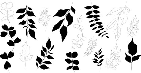 Set of black silhouettes of leaves. Plant design. Vector illustration. Botanical theme.