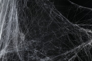 Wall Mural - Creepy white cobweb on black background, closeup