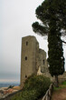 Torre dei Pellegrini  a Montefiascone con albero cipresso e cielo