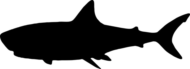 Wall Mural - Shark Fish black vector silhouette image