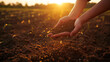 pair of hands gently releasing soil against a backdrop of a sunset over a field