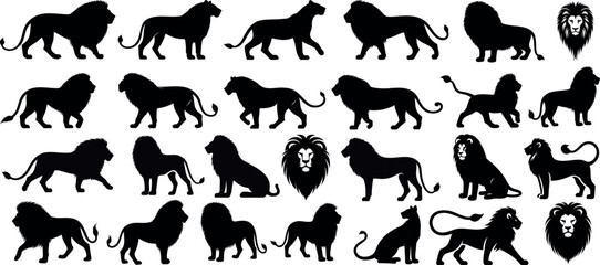 Wall Mural - Black lion silhouettes collection, lion vector illustrations isolated on white. Perfect for logo design, brand identity, wildlife themed projects. Majestic, powerful animal poses.