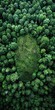 Deforestation Symbolism: Aerial View of Human Fingerprint Pattern in Forest generative ai