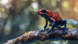 3d Poison Dart Frog on a Branch