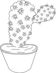 Wall Mural - Desert cactus coloring page, 
outline cactus coloring page, realistic cactus coloring page, pencil cactus drawing, pencil sketch cactus drawing, cactus drawing black and white