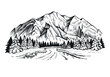Mountain river with fir trees forest, landscape vector sketch.
