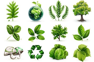 Poster - Various types of leaves in a vibrant display, perfect for nature-themed projects.
