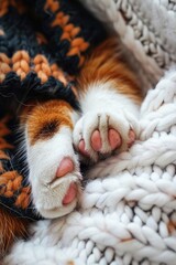 Aufkleber - Close up of a cat's paw resting on a soft blanket. Suitable for pet care or relaxation concepts.