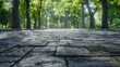 Stone walkway in a park with trees in the background. Suitable for nature or outdoor themed designs.