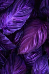 Aufkleber - Close up of purple leaves, perfect for nature backgrounds.