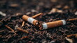 There are a lot of cigarette butts thrown on the ground. The problem of pollution of nature with nicotine by garbage. A bad habit of mankind.