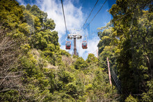 Cablecar In Mountains. Ropeway Over Forest. Summer Tourist Attraction.