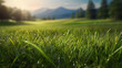 © Gonzalo - Lush green grass meadow background