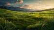 © Gonzalo - Lush green grass meadow background