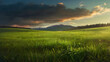 © Gonzalo - Lush green grass meadow background