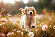 a joyful puppy romping through a field of flowers, with a big grin on its face as it enjoys the sunshine