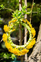 Sticker - Dandelion wreath on the spring tree	