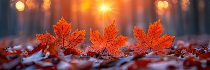 Canvas Print - Three red leaves are sitting on the ground in front of a sun, AI