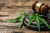 Fototapeta  - Legal weed, decriminalized pot or felony conviction for possession of a schedule one drug concept theme with a marijuana leaf and a wooden gavel isolated on wood background with copy space