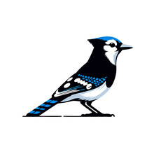  Blue Jay Bird Simple and Clean Logo Icon 