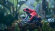 macro of a red and blue poison dart frog sitting in a tropical rainforest
