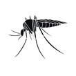 Vector hand drawn doodle sketch mosquito isolated on white background
