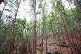 Fototapeta Sypialnia - Whispering Cave, Hocking Hills State Park, Ohio