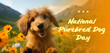 Postcard National Purebred Dog Day with Text. Portrait Little Cute Puppy Of Labradoodle Sitting Outdoor in Meadow. Flowers, Mountain on Background Postal card AI Generated Horizontal Plane.