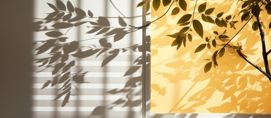 Wall Mural - Realistic shadow overlay for window jalousie and tree branch with leaves in soft natural light. Shadow effect template.