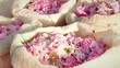 Bags with rose petals collected for organic rose oil obtained by steam distillation. Agricultural industry