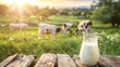 Glass jug of milk on wooden table, cows walking on grass on background. Generative AI.