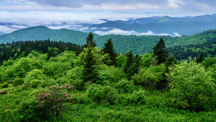 Canvas Print - Smokies overlook