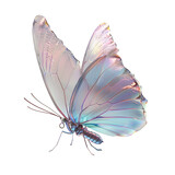 Fototapeta Motyle - A butterfly with its wings spread open against a plain white background. The wings are a vibrant blend of silver, blue, and pink colors with a faint texture visible