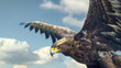Majestic bald eagle in flight.