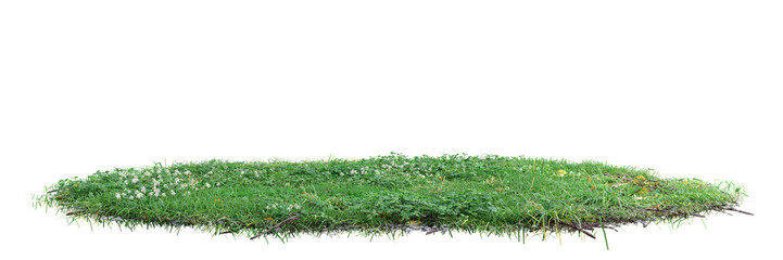 unit green grass on transparent background 3d rendering png