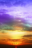 Fototapeta Kosmos - sunset colorful purple blue yelllow orange sky and dark cloud and sun lower flame with silhouette bird