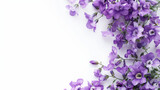 Fototapeta Kwiaty - Purple Cosmos Flower Arrangement