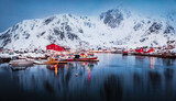 Fototapeta Natura - Red wooden houses against the background of a giant snow-capped peak. Majestic winter cityscape of Ballstad port, Norway. Spectacular spring view of Lofoten Islands. Calm seascape of Norwegian sea.