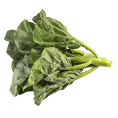 Wall Mural - chinese broccoli isolent on a transparent background