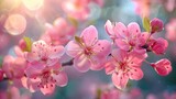 Fototapeta Kwiaty - Beautiful Pink flower on blurred background in springtime