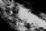 Fototapeta Kwiaty - Abstract distorted black white motion glitch overlay effect distress texture. Monochrome interlaced digital background. Futuristic striped glitched grunge, retro 90s, lo-fi brutal cyberpunk design