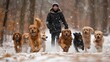 A pack of exuberant dogs, led by a cheerful golden retriever, running towards the camera in a snow-filled park.