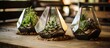 Geometric Glass Terrariums with Succulents and Spatifilum Flowers on Table