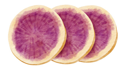 Sticker - Purple sweet potato watercolor illustration