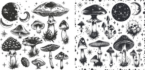 Wall Mural - Celestial mushroom. Hand drawn mystical magic mushrooms with moon and stars