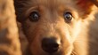 Puppy dog close-up. Generative AI