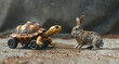 An imaginative race with a turtle on wheels leading the charge against a rabbit both rendered in engaging 3D cartoon graphics